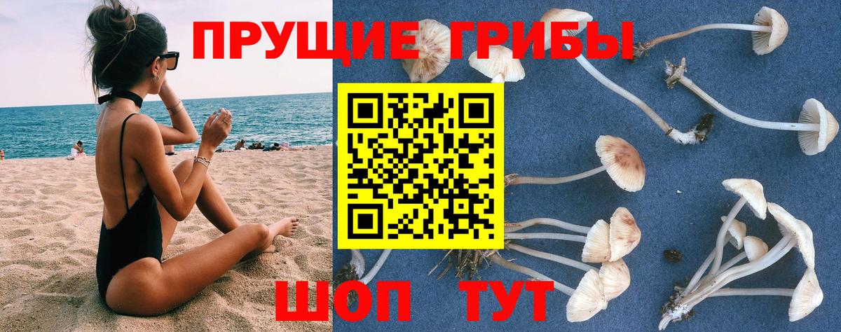 Псилоцибиновые грибы мухоморы  Вход с VPN  Галлюциногенные грибы MAGIC MUSHROOMS  Кириши 