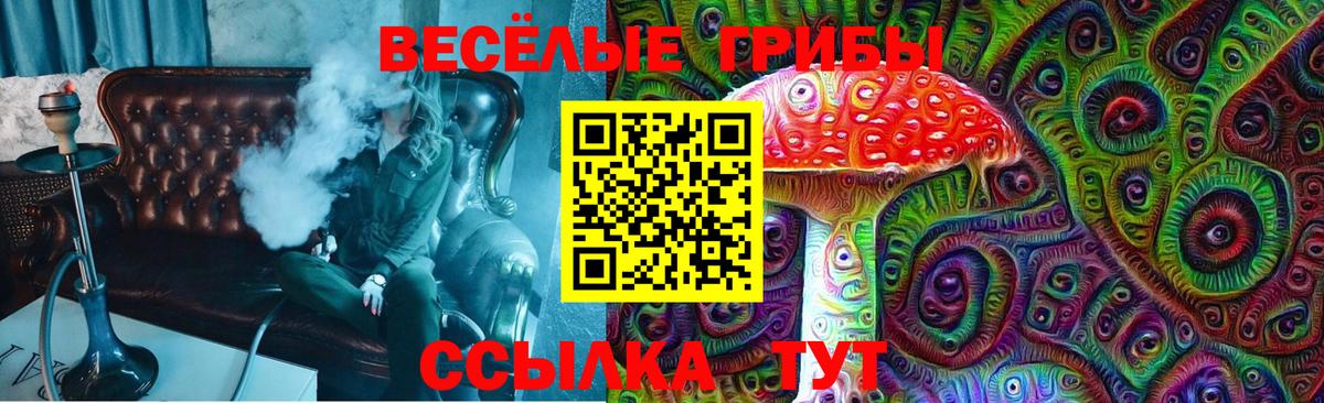 Галлюциногенные грибы Magic Shrooms Кириши